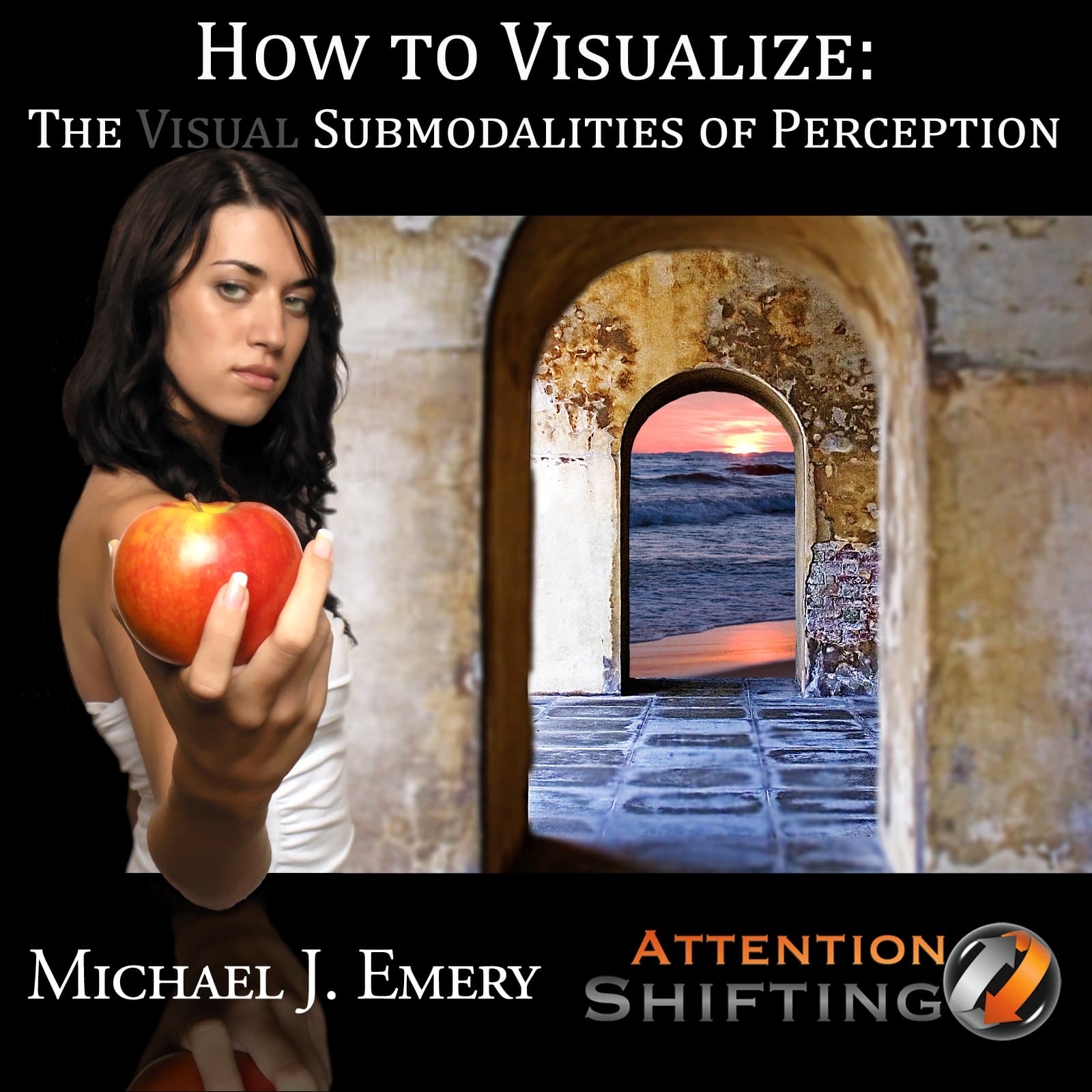 How-to-Visualize-Visual-Submodalities